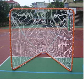 Lacrosse goal